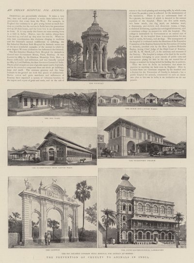 Hindistan