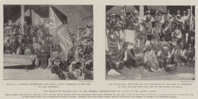 Galler Prensi Maorilere Armağan, Arawa Kabilesine Bayrağın Takdimi by English Photographer