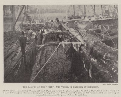Guernsey
