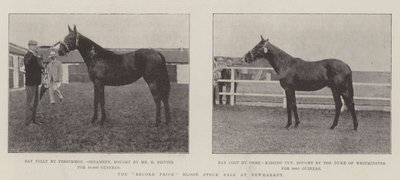 Newmarket