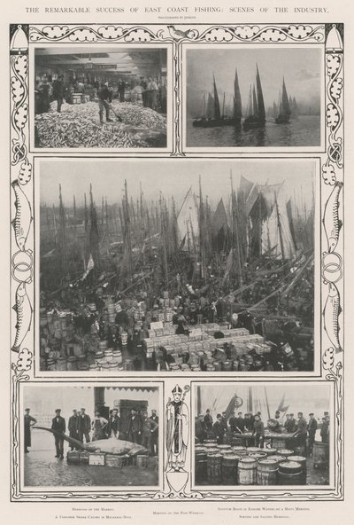 Doğu Yakası Balıkçılığının Olağanüstü Başarısı, Sektörden Manzaralar by English Photographer