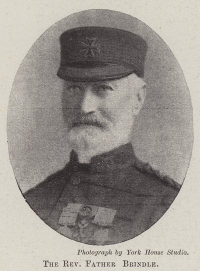 Muhterem Peder Brindle by English Photographer