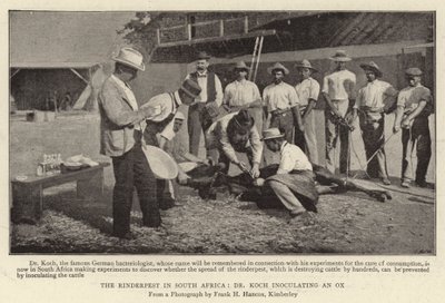 Güney Afrika