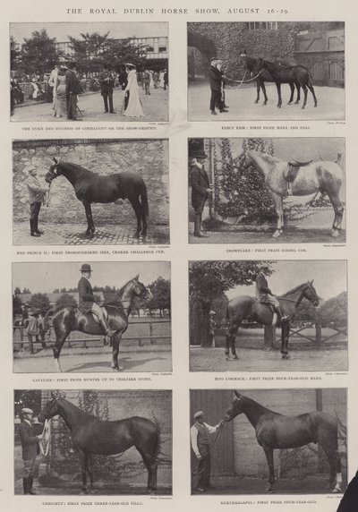 Royal Dublin At Gösterisi, 26-29 Ağustos by English Photographer