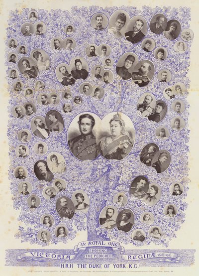 Royal Oak, HRH Duke of York, KG soyunu gösteren by English Photographer