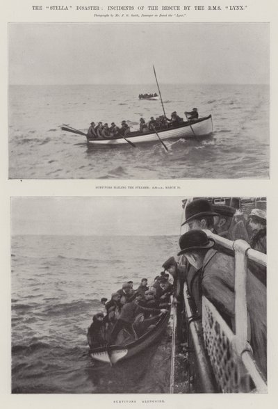Stella Felaketi, RMS Lynx