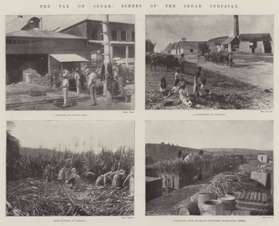 Şeker Vergisi Şeker Sektöründen Manzaralar by English Photographer