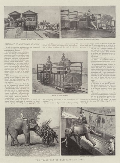Hindistan