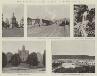 Transvaal Krizi, Güney Afrika
