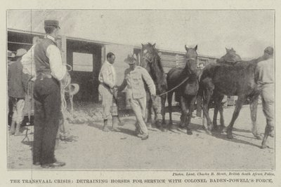 Transvaal Krizi, Albay Baden-Powells Kuvvetleri ile Atları Hizmete Almak by English Photographer