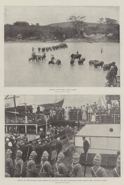 Transvaal