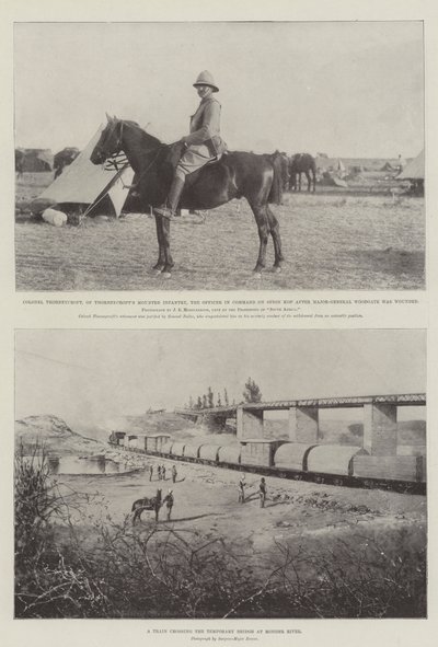 Transvaal