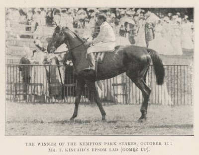 Kempton Park Stakes Kazanan, 11 Ekim, Bay T Kincaids Epsom Lad (Gomez yukarı) by English Photographer