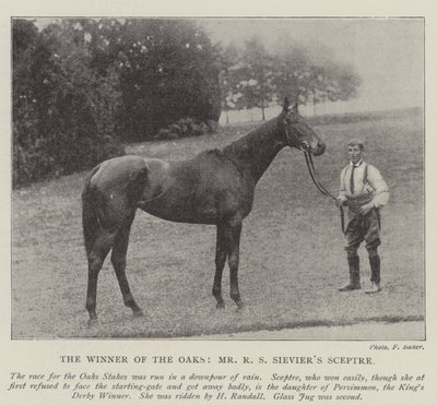 Oaks