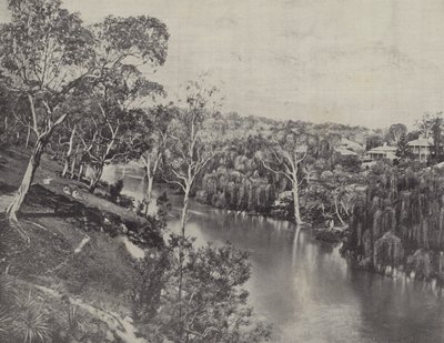 Studley Park