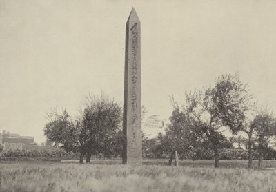 Musa