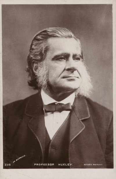 Thomas Henry Huxley (1825-1895, İngiliz biyolog) by English Photographer