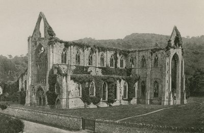 Tintern Manastırı by English Photographer