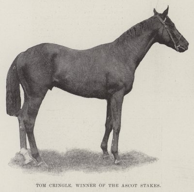 Ascot Stakes Kazanan Tom Cringle by English Photographer