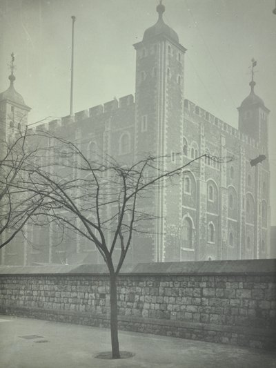 Londra Kulesi, Tower Hill: Beyaz Kule, 1899 by English Photographer
