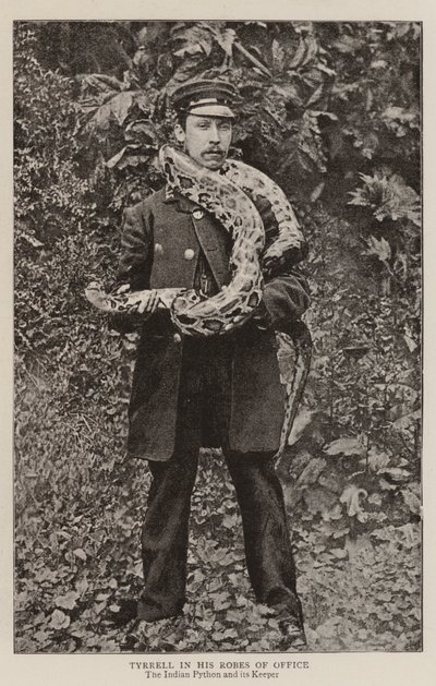 Tyrrell, Ofis Cüppesiyle by English Photographer