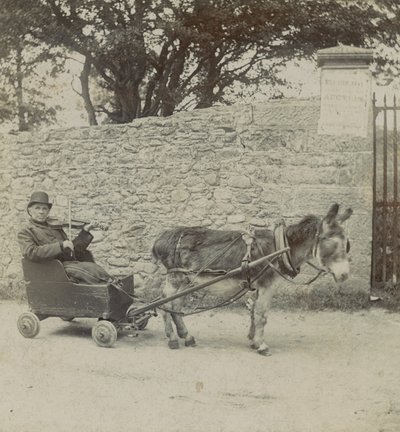 Eşek Tarafından Çekilen Kemancı by English Photographer
