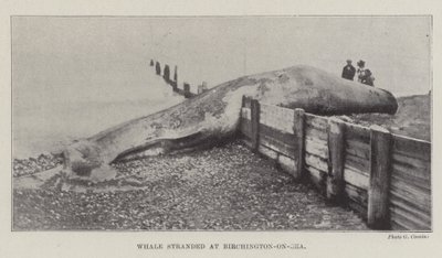 Birchington-on-Sea
