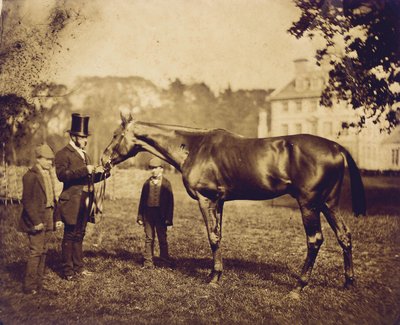 Wild Dayrell, 1856