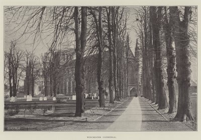 Winchester Katedrali by English Photographer