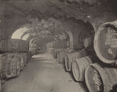 Şarap Mahzenleri (b/w fotoğraf) by English Photographer