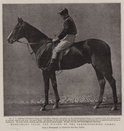 Winkfields Pride, Cambridgeshire Stakes Kazanan by English Photographer