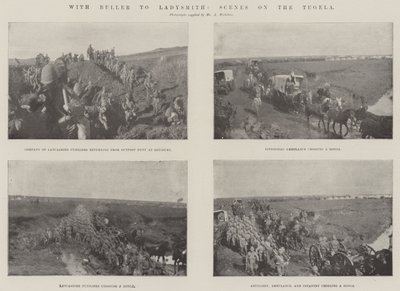 Buller