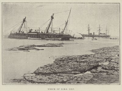 HMS Lily