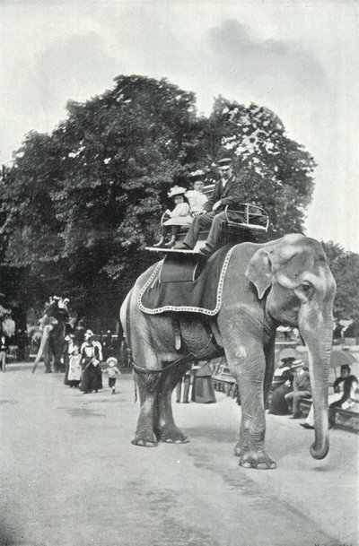 Hayvanat Bahçeleri, Fillere Binen Çocuklar (s/b fotoğraf) by English Photographer