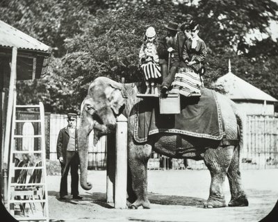 Hayvanat Bahçeleri, Regents Park: yetişkinlerin ve çocukların ata bindiği fil, Londra Hayvanat Bahçesi, 1894 by English Photographer
