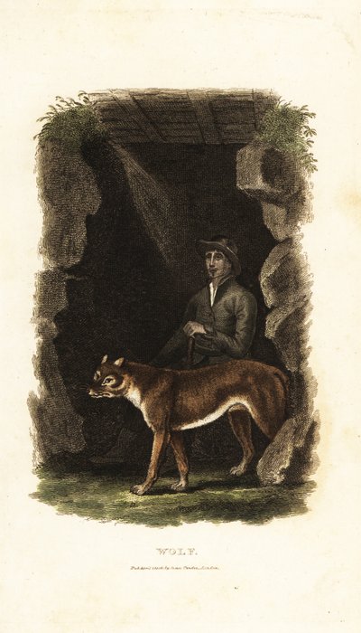 18. yüzyıl İngiliz beyefendisi ve evcil kurdu Canis lupus, bir mağaranın girişinde by English School