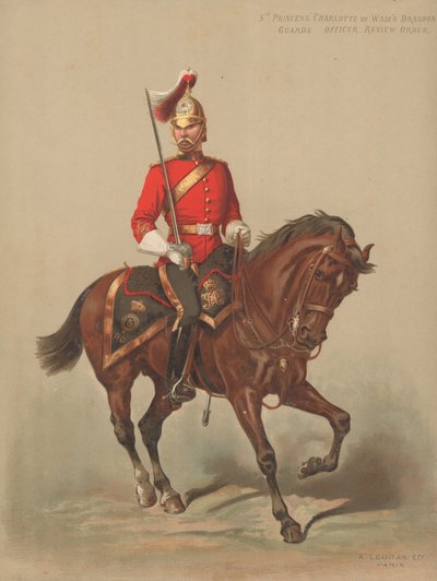 5. Galler Prensesi Charlotte Ejderha Muhafızları, Memur, Düzeni İnceleme by English School