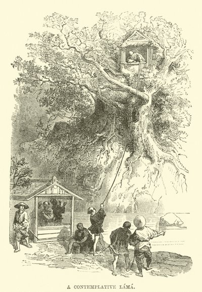 Düşünceli Bir Lama by English School