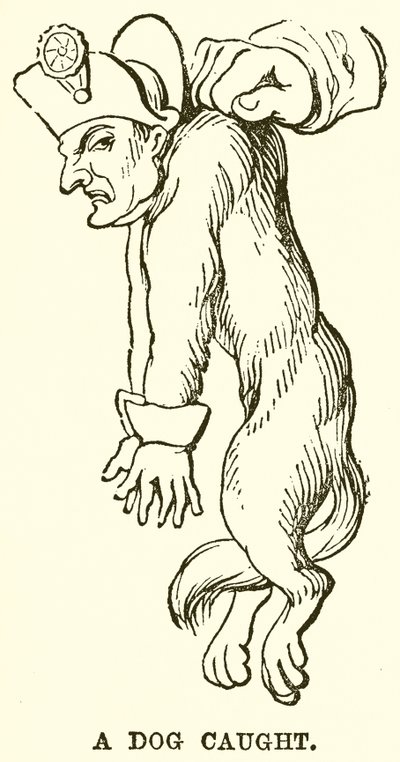 Bir Köpek Yakalandı by English School