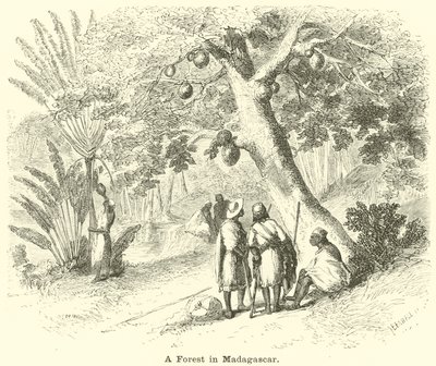 Madagaskar