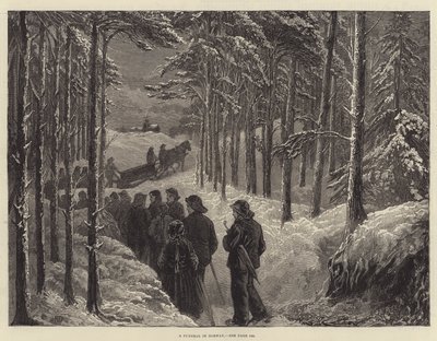 Norveç