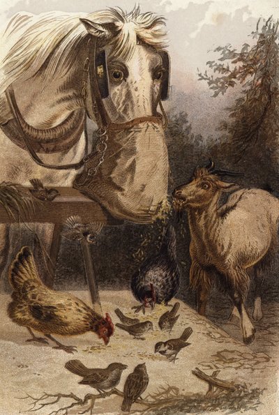 Çuvalda Bir Delik by English School