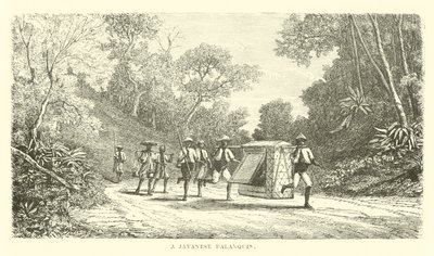 Bir Cava tahtırevanı by English School