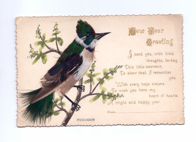 1900 dolaylarında, elle boyanmış bir ağaca monte edilmiş tüylerden yapılmış bir yalıçapkını yeni yıl tebrik kartı by English School