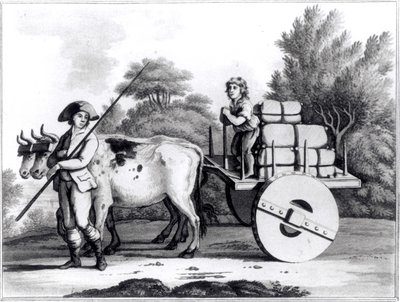 James Murphy tarafından Portekiz Devletinin Genel Görünümünden Bir Portekiz Çiftliği, 1797