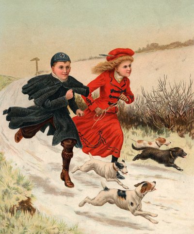 Köpeklerle Bir Koşu by English School