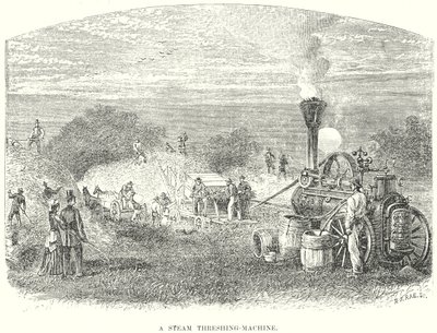 Bir Buharlı Thrashing-Makinesi (gravür) by English School