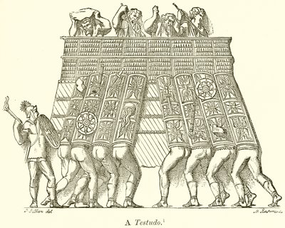 Bir Testudo by English School