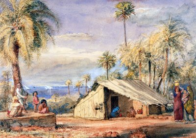Hurma Korusu