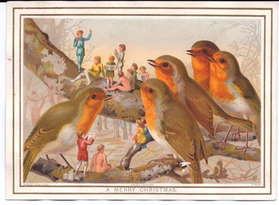 Bir peri grubunu dinleyen bir dala tünemiş beş ardıç kuşundan oluşan Viktorya dönemine ait bir Noel kartı, 1880 dolayları by English School